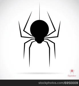 Vector image of an spider on white background