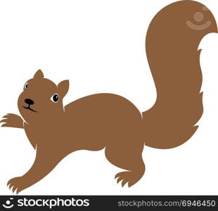 Vector image of an squirrel on white background