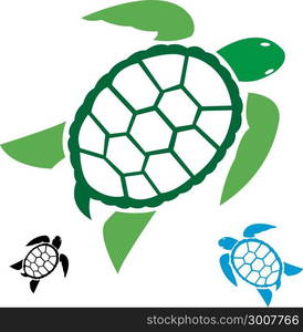 Vector image of an turtle on white background