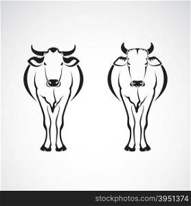 Vector image of an two cows on a white background