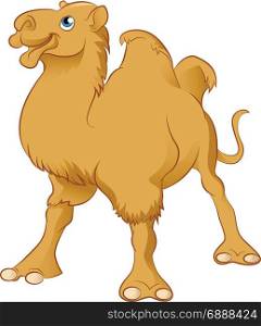 Vector image of an yellow Cartoon Camel