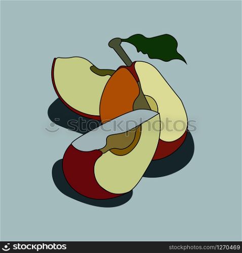 vector image of art apples in section