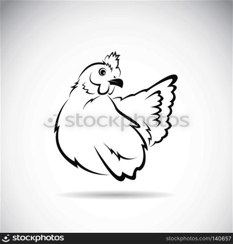 Vector image of chicken on white background