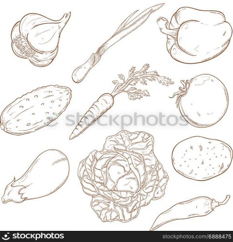 Vector image of Collection of icons with vegetables