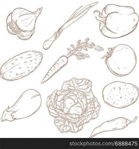 Vector image of Collection of icons with vegetables