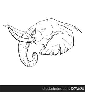 vector image of elephant head in outlines
