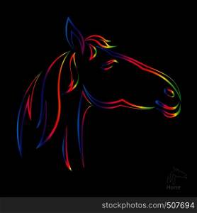 Vector image of horse on black background.