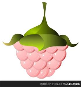 Vector image of raspberries