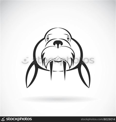 Vector image of Sea lion design on white background. / Vector Sea lion for your design.