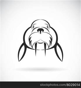 Vector image of Sea lion design on white background. / Vector Sea lion for your design.