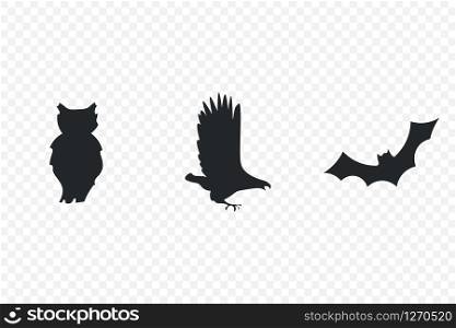 vector image of silhouette of owl, falcon and bat