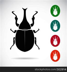 Vector image of stag beetle on white background