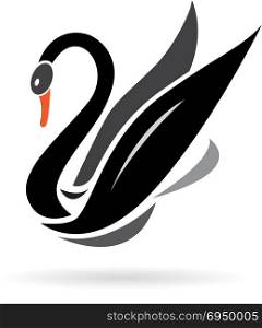 Vector image of swans on a white background.