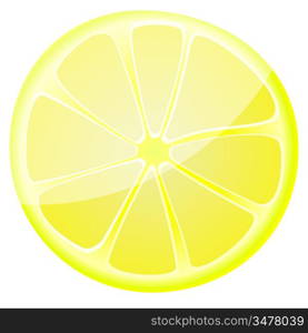 Vector image slices of lemon