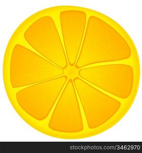 Vector image slices of orange
