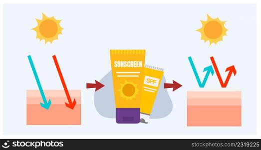 vector infographic of Sun protection,skin care concept,sunscreen, sunblock.before after using sunscreen product on skin layers.