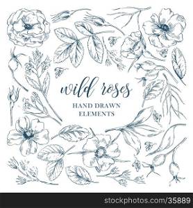 Vector ink graphic wild rose floral hand drawn elements collection with leaves and flowers. Decorative floral set for fabric, textile, wrapping paper, card, invitation, wallpaper, web design.