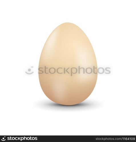 Vector isolated natural egg