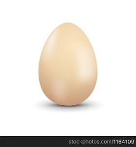 Vector isolated natural egg