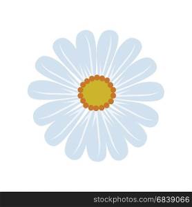 Vector Isolated on White Background Web, Illustration, Banner or Game. Gentle Daisy Blossom in Balanced Blue and Yellow - Vector Illustration