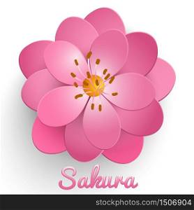 Vector isolated paper cut sakura flower. Floral volumetric composition. Elegant element for invitaion cards.