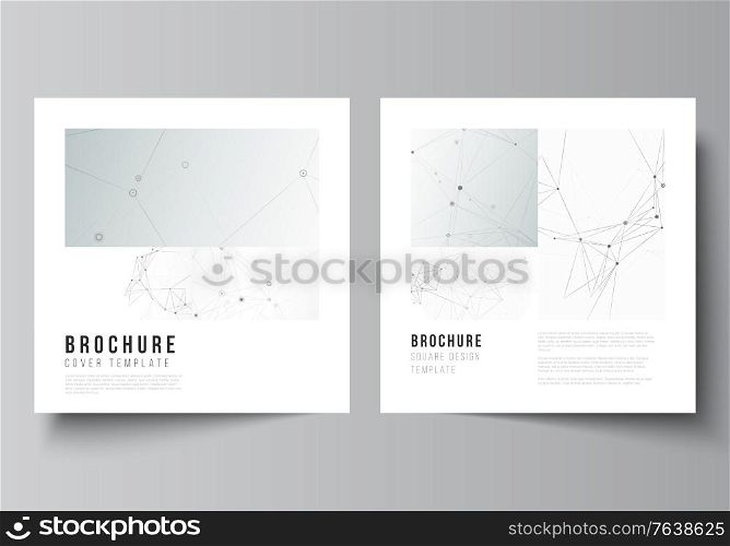 Vector layout of two square covers templates for brochure, flyer, magazine, cover design, book design, brochure cover. Gray technology background with connecting lines and dots. Network concept. Vector layout of two square covers templates for brochure, flyer, magazine, cover design, book design, brochure cover. Gray technology background with connecting lines and dots. Network concept.