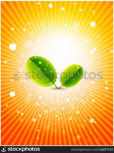 Vector leaf concept