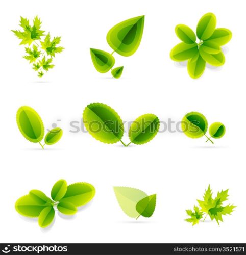 Vector leaf concept