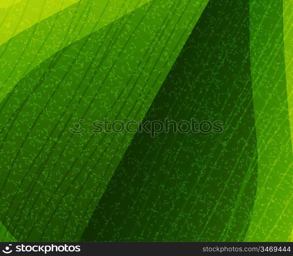 Vector leaf texture
