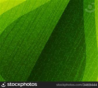 Vector leaf texture