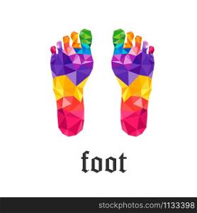 vector left and right Foot colorful polygon