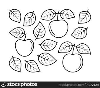 Vector line drawing of apple leaves and apple fruit. Nature and ecology. Apple, leaves, plant, icon, drawing, fetus and more. Isolated collection of apple linear icons on white background.