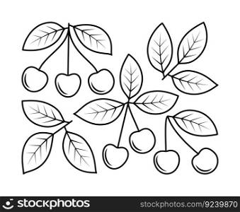 Vector line drawing of cherry branch and cherry fruit. Nature and ecology. Cherry, leaves, plant, icon, drawing, fetus and more. Isolated collection of cherry branch on white background.