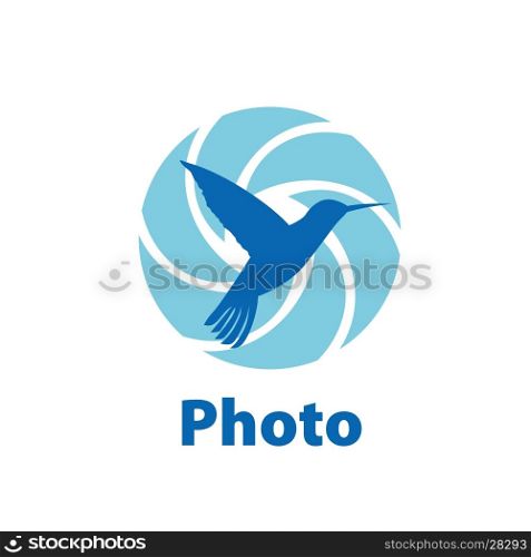 Vector logo camera. logo design template camera. Vector illustration of icon