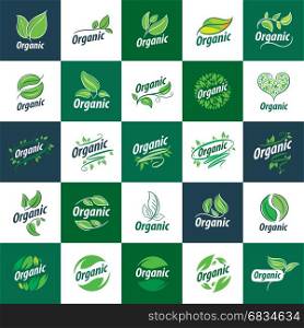 vector logo organic. template logo design organic. Vector illustration icon