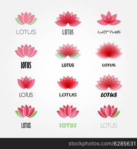 Vector lotus flowers design for spa, yoga class, hotel and resort