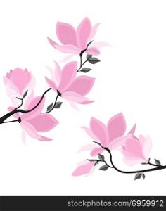 Vector magnolia flowers. Vector illustration branches with floral decoration. Spring magnolia. Background with pink flowers