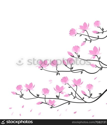 Vector magnolia flowers. Vector illustration pink flowers. Spring magnolia flowers branch