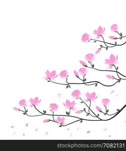 Vector magnolia flowers. Vector illustration pink flowers. Spring magnolia flowers branch