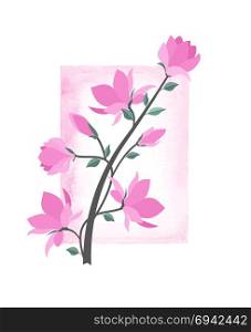 Vector magnolia flowers. Vector illustration pink flowers with watercolor frame. Spring magnolia flowers branch