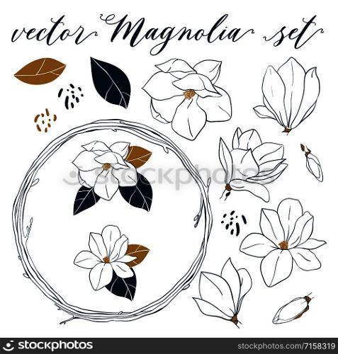 Vector Magnolia set. Hand drawn botanical elements in line art style.