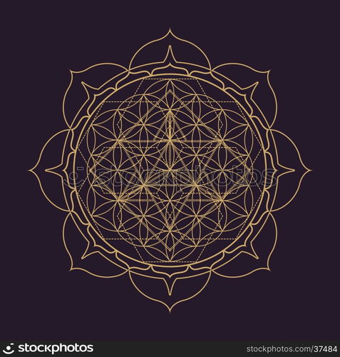 vector mandala sacred geometry illustration. vector gold monochrome design abstract mandala sacred geometry illustration Flower of life Merkaba lotus isolated dark brown background