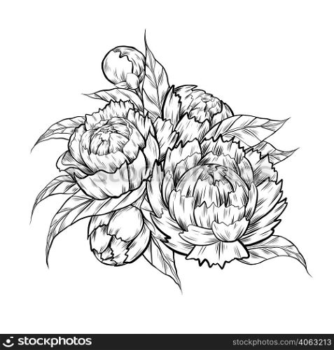 Vector monochrome sketch illustration of peony flowers with foliage. Contour ink Image of natural floral bouquet with hatching isolated from background. Botany clipart with bush for sticker and card. Vector monochrome sketch illustration of peony flowers with foliage. Contour ink Image of natural floral bouquet with hatching