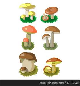 Vector. Mushrooms color set 002
