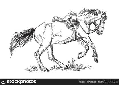Vector Mustang in gallop
