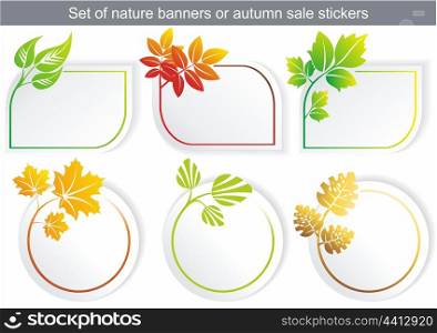 Vector natural stickers with different leaf. Vector natural stickers