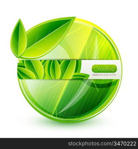 Vector nature leaves background