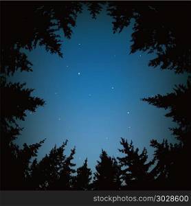 vector night sky with stars and dark forest trees. vector background of blue night sky with stars and dark forest trees. circle of black pine trees forming copyspace