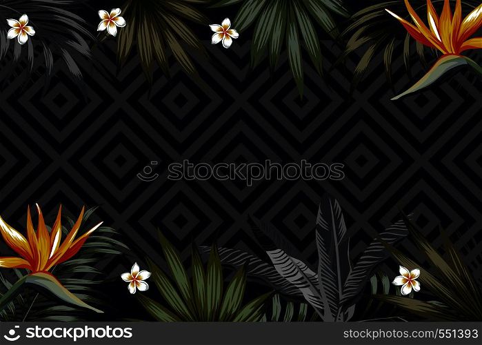 Vector night tropical banner. Vacation summer flyer or poster with tropical flower and leaves. Illustration with strelitzia, plumeria jungle exotic leaf palm and monstera on the black geometric background