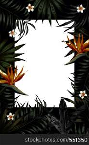 Vector night tropical design for flyer or banner. Vacation summer poster with tropical flower and leaves. Illustration with strelitzia, plumeria jungle exotic leaf palm and monstera on the black night background. Vertical layout.